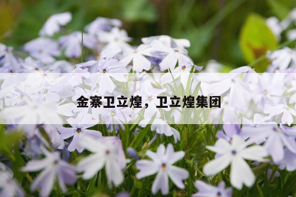 金寨卫立煌，卫立煌集团