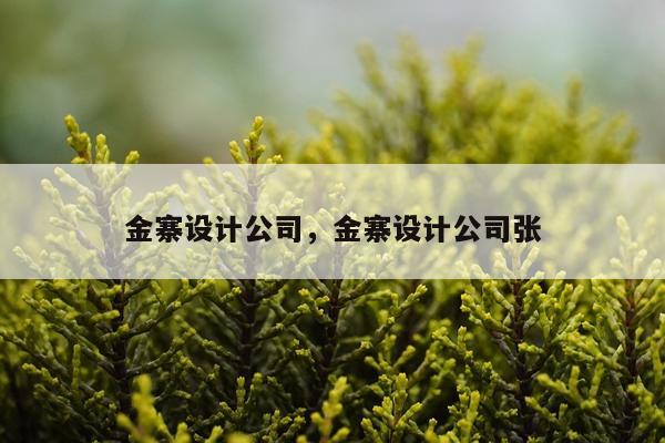 金寨设计公司，金寨设计公司张