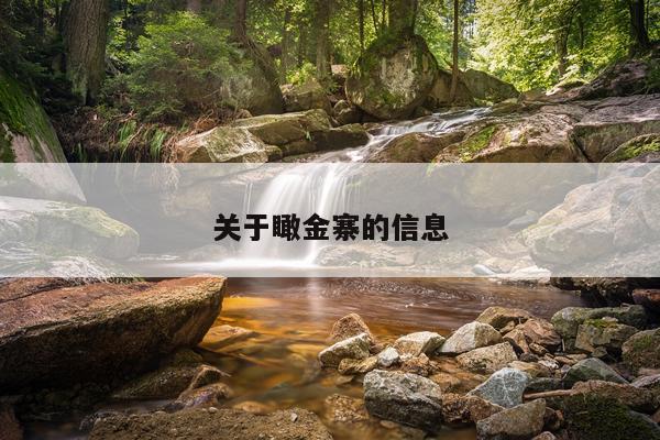 关于瞰金寨的信息
