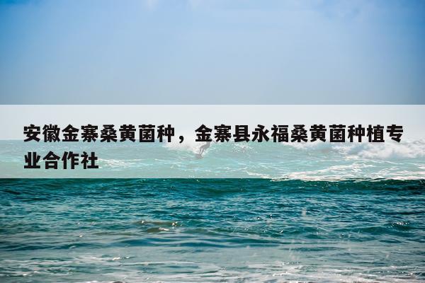 安徽金寨桑黄菌种，金寨县永福桑黄菌种植专业合作社