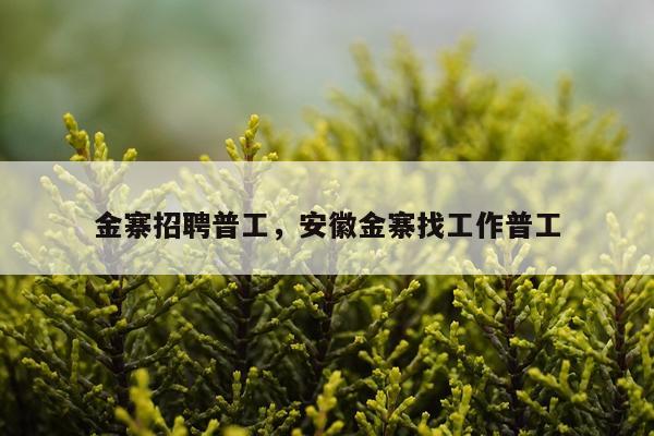 金寨招聘普工，安徽金寨找工作普工