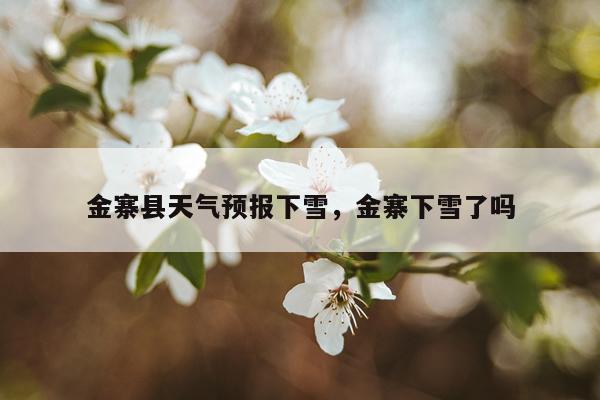 金寨县天气预报下雪，金寨下雪了吗