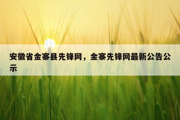 安徽省金寨县先锋网，金寨先锋网最新公告公示