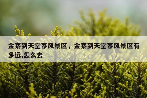 金寨到天堂寨风景区，金寨到天堂寨风景区有多远,怎么去