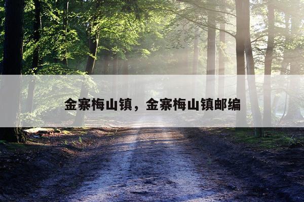 金寨梅山镇，金寨梅山镇邮编