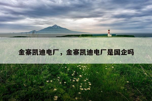 金寨凯迪电厂，金寨凯迪电厂是国企吗