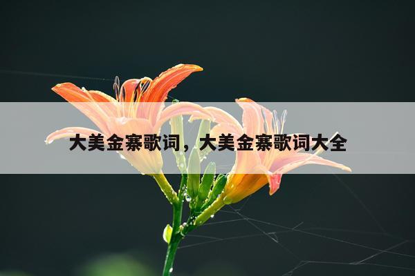 大美金寨歌词，大美金寨歌词大全