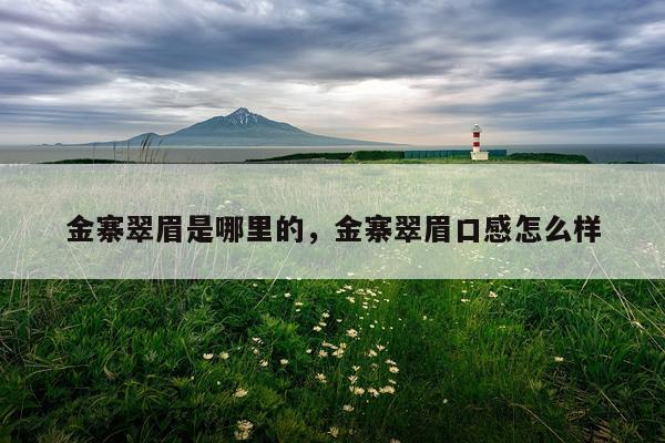 金寨翠眉是哪里的，金寨翠眉口感怎么样