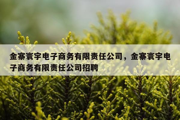 金寨寰宇电子商务有限责任公司，金寨寰宇电子商务有限责任公司招聘