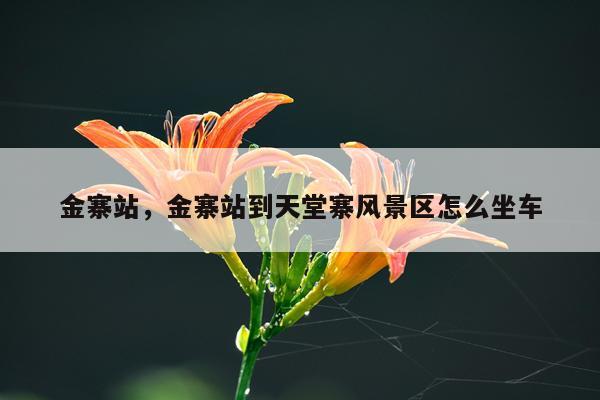 金寨站，金寨站到天堂寨风景区怎么坐车
