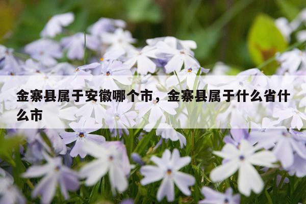 金寨县属于安徽哪个市，金寨县属于什么省什么市