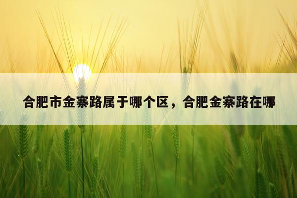 合肥市金寨路属于哪个区，合肥金寨路在哪