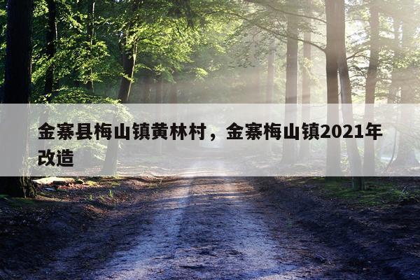金寨县梅山镇黄林村，金寨梅山镇2021年改造