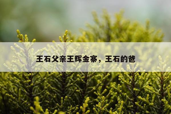 王石父亲王辉金寨，王石的爸