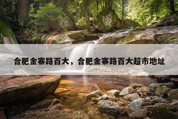 合肥金寨路百大，合肥金寨路百大超市地址