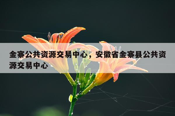 金寨公共资源交易中心，安徽省金寨县公共资源交易中心