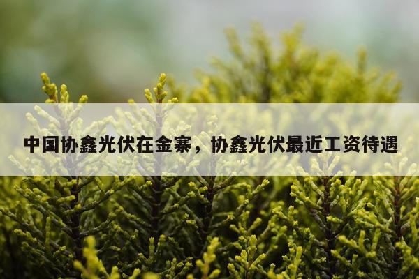 中国协鑫光伏在金寨，协鑫光伏最近工资待遇