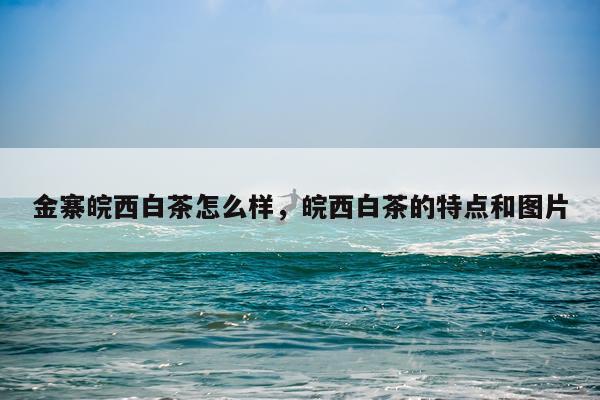 金寨皖西白茶怎么样，皖西白茶的特点和图片