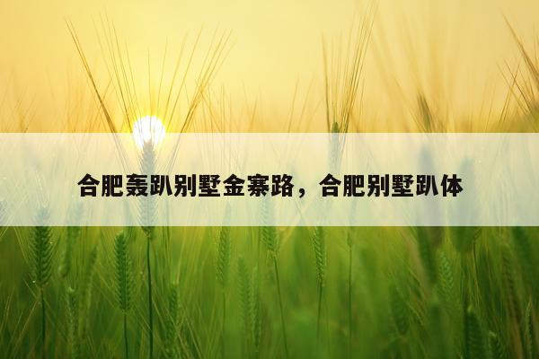 合肥轰趴别墅金寨路，合肥别墅趴体