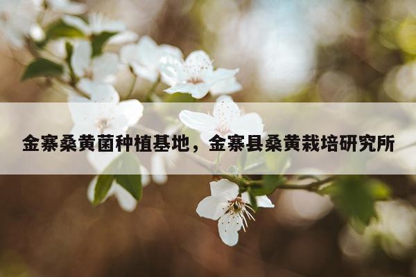 金寨桑黄菌种植基地，金寨县桑黄栽培研究所