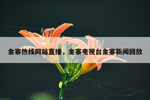 金寨热线网站直播，金寨电视台金寨新闻回放