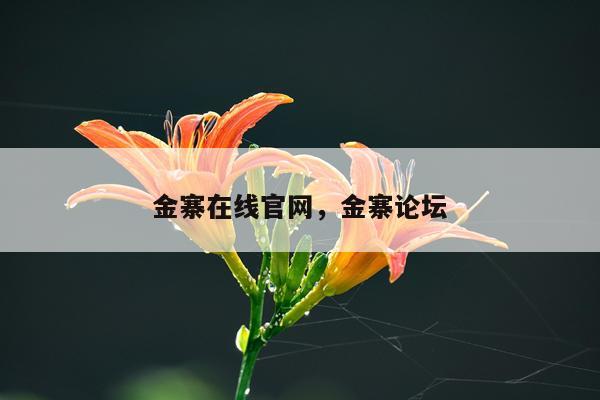 金寨在线官网，金寨论坛