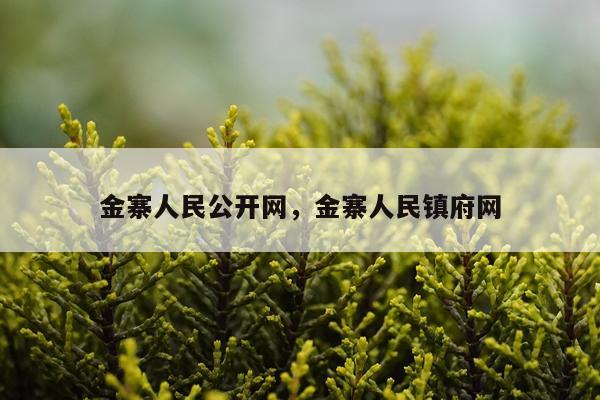 金寨人民公开网，金寨人民镇府网