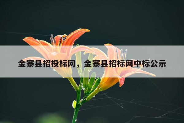 金寨县招投标网，金寨县招标网中标公示