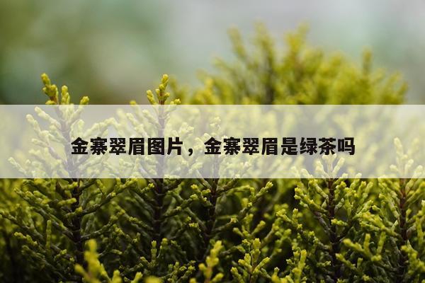 金寨翠眉图片，金寨翠眉是绿茶吗