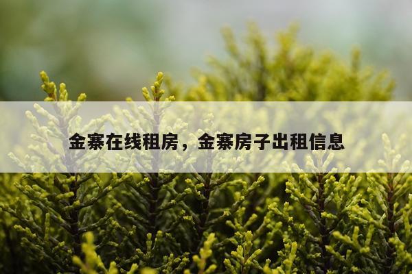 金寨在线租房，金寨房子出租信息