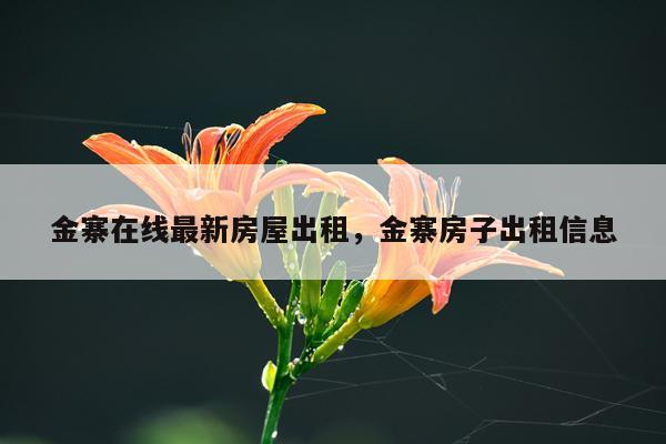 金寨在线最新房屋出租，金寨房子出租信息