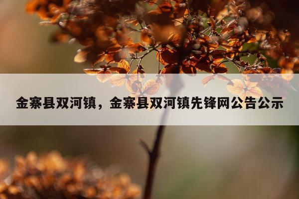 金寨县双河镇，金寨县双河镇先锋网公告公示