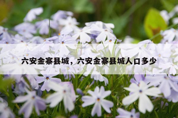 六安金寨县城，六安金寨县城人口多少