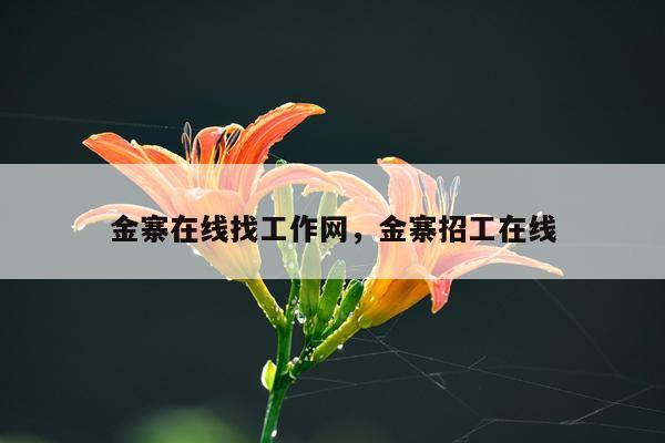 金寨在线找工作网，金寨招工在线