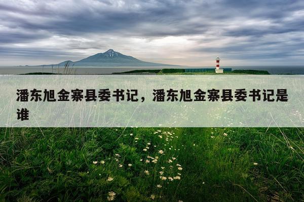 潘东旭金寨县委书记，潘东旭金寨县委书记是谁