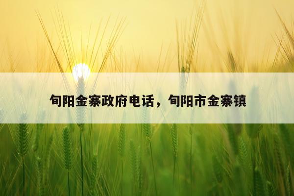 旬阳金寨政府电话，旬阳市金寨镇