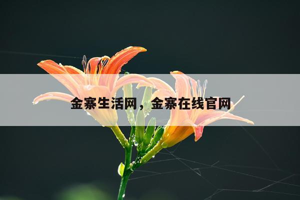 金寨生活网，金寨在线官网