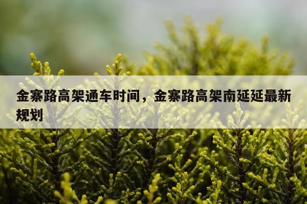 金寨路高架通车时间，金寨路高架南延延最新规划