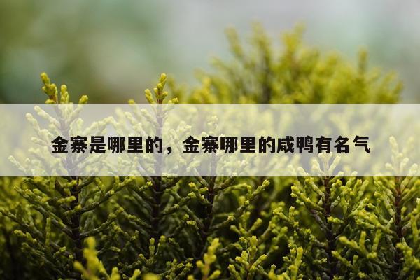 金寨是哪里的，金寨哪里的咸鸭有名气