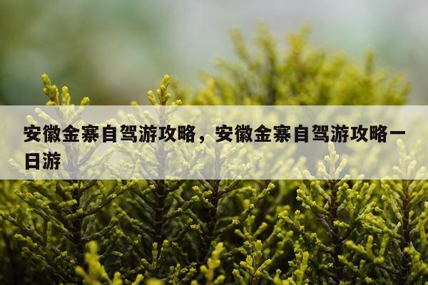 安徽金寨自驾游攻略，安徽金寨自驾游攻略一日游