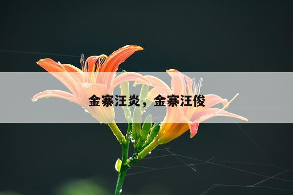 金寨汪炎，金寨汪俊