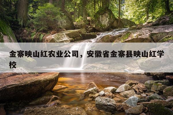 金寨映山红农业公司，安徽省金寨县映山红学校