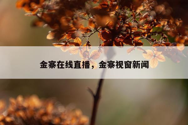金寨在线直播，金寨视窗新闻