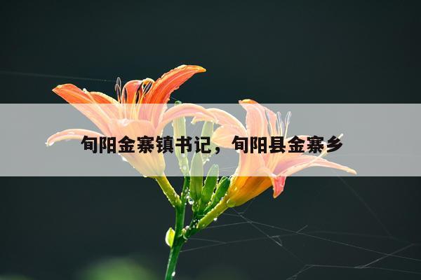 旬阳金寨镇书记，旬阳县金寨乡