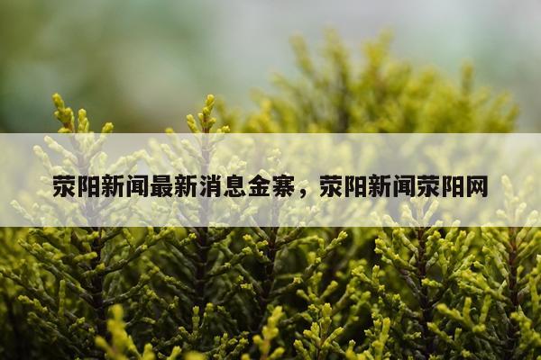 荥阳新闻最新消息金寨，荥阳新闻荥阳网