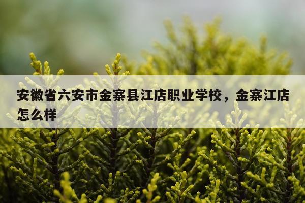 安徽省六安市金寨县江店职业学校，金寨江店怎么样