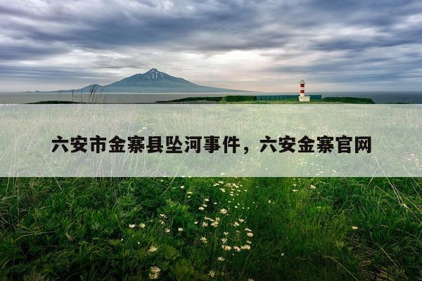 六安市金寨县坠河事件，六安金寨官网