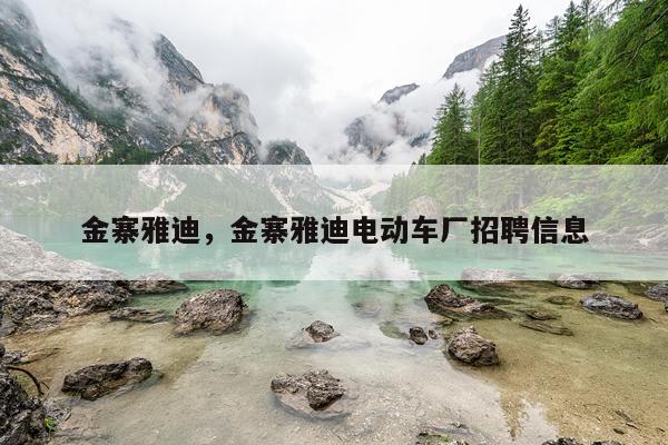 金寨雅迪，金寨雅迪电动车厂招聘信息