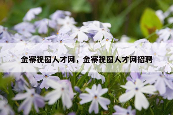 金寨视窗人才网，金寨视窗人才网招聘