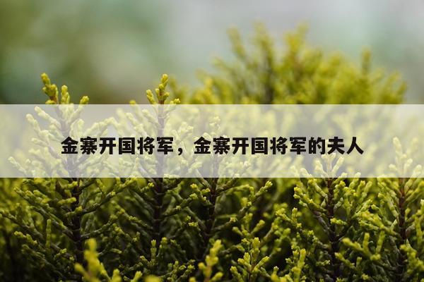 金寨开国将军，金寨开国将军的夫人